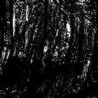 Skull Incision - Vemödalen (2015)