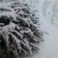 Eissturm - Winter (2014)