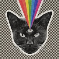 Never Shout Never - Black Cat (2015)