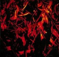 Strigaskór Nr. 42 - Blót (1994)