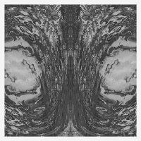 Necro Deathmort - The Capsule (2016)