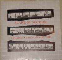 Plane of Section - Looking at Pictures of You (1984)