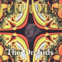 Backworld - The Orchids (2000)