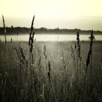 Wolfredt - Wolfredt (2011)
