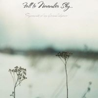 Fall To November Sky... - Fragments of My Lyrical Despair (2010)