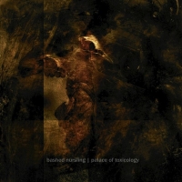 Bashed Nursling - Palace Of Toxicology (2011)