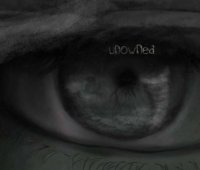 Unowned - Collapse into the Apocalypse (2008)