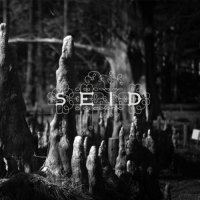 Seid - Magic Handshake (2012)