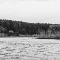 Svrm - 7 (2015)