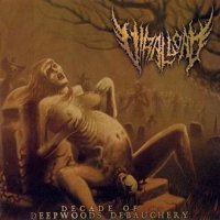 Viral Load - Decade Of Deepwoods Debauchery (2008)