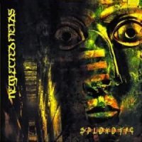 Neglected Fields - Splenetic (2006)