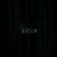 Veturheim - Veturheim (2015)