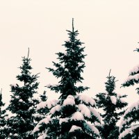 Wounds - Winter Ambient Works (2010)