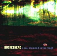 Buckethead - A Real Diamond In The Rough (2009)  Lossless