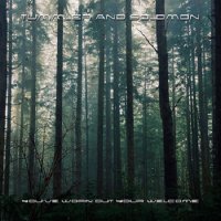Tummler And Solomon - You\'ve Worn Out Your Welcome (2014)