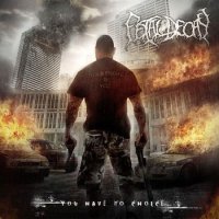 Fetal Decay - You Have No Choice (2011)