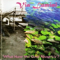 Via Lumini - What Have We Done About Us (1995)