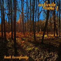 Infinite Now! - Back To Infinity ( 2014)