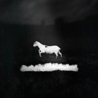 Les Discrets - Prédateurs (Deluxe Edition) (2017)