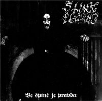 Stiny Plamenu - Ve Spini Je Pravda (2001)