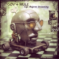 Gov\'t Mule - Life Before Insanity (2000)