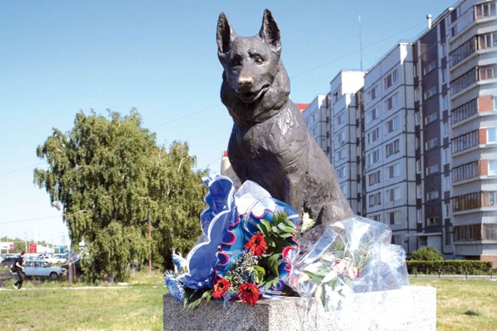 Верный Костик