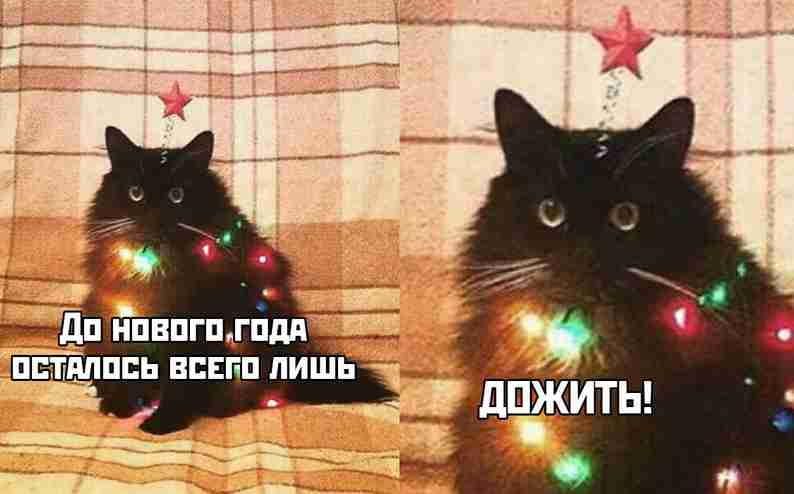 Прикольные картинки (32 фото)
