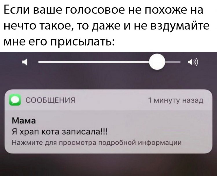 Прикольные картинки (36 фото)