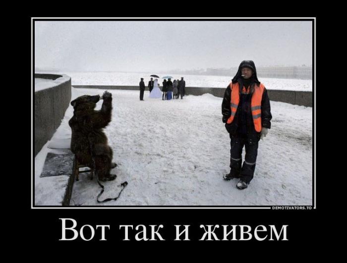 Демотиваторы (40 фото)