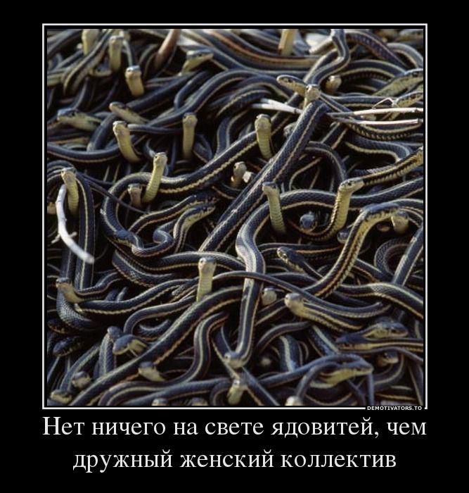 Подборка сочных демотиваторов