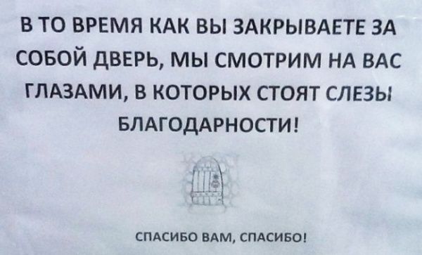 ТОП объявлений уходящего года (27 фото)