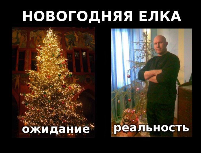 Новый Год - Ожидания VS Реальность (8 фото)