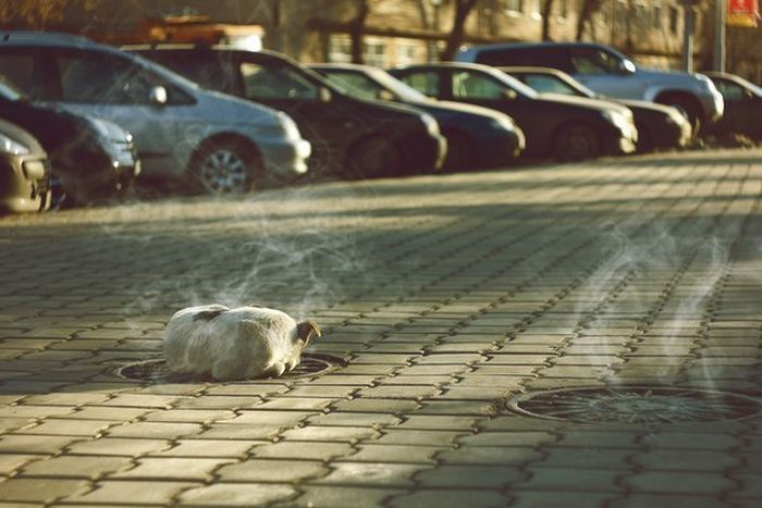 Сильные фотографии (50 фото)