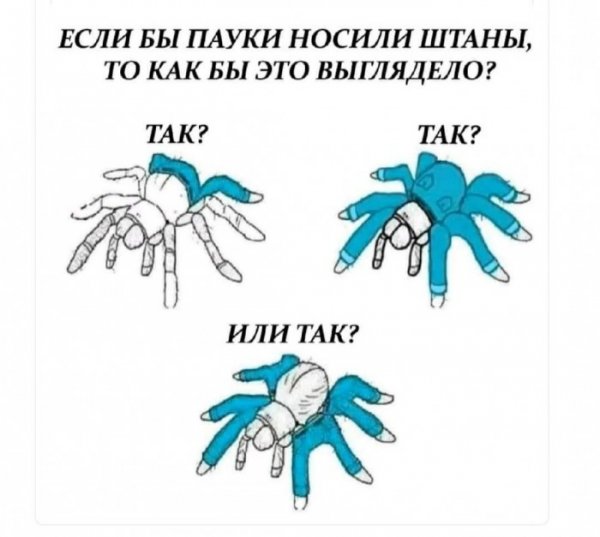 Прикольные картинки (22 фото)