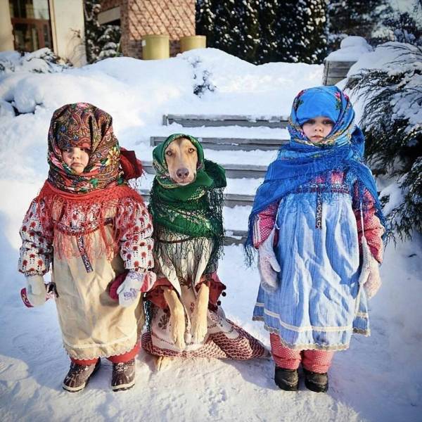 Смешные картинки (62 фото)