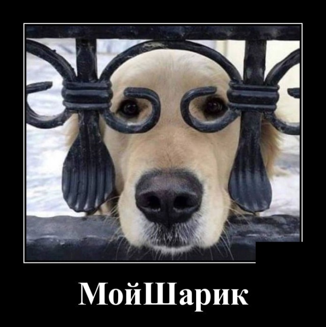 Демотиваторы (19 фото)