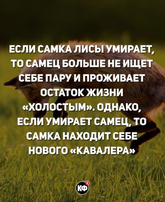 20 коротких фактов