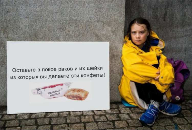 Грета Тунберг - приколы (16 фото)