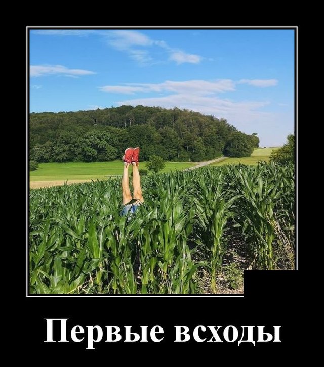 Демотиваторы (20 фото)