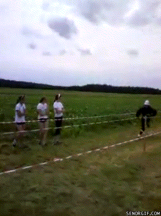 Заразительные смешные гифки (15 гифок)