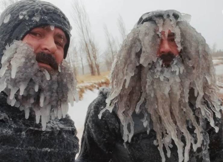 Прикольные картинки (65 фото)