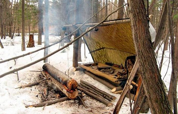 Костер из одного бревна, который будет гореть всю ночь и давать много тепла (5 фото)
