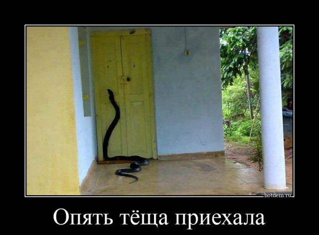 Новые демотиваторы (30 фото)