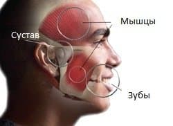 Где лечить щелкающую челюсть