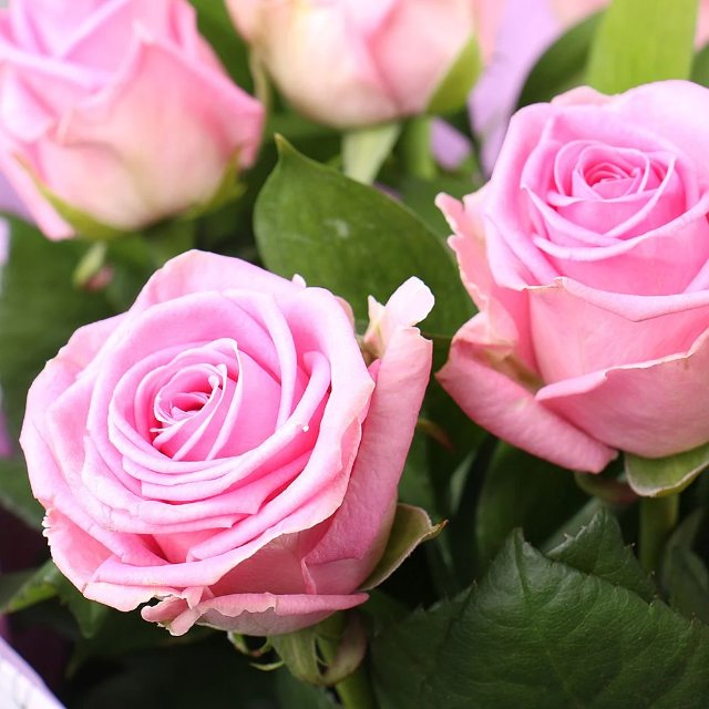 Инновации и традиции в цветочном бизнесе Красноярска Инновации и традиции в цветочном бизнесе Красноярска