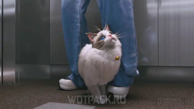 Виртуальные возможности: магия читов в InZoi Виртуальные возможности: магия читов в InZoi