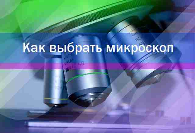 Как выбрать микроскоп Как выбрать микроскоп