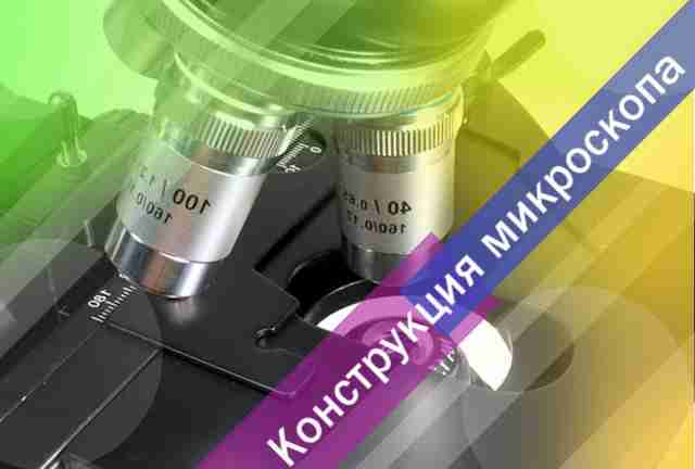 Что такое микроскоп