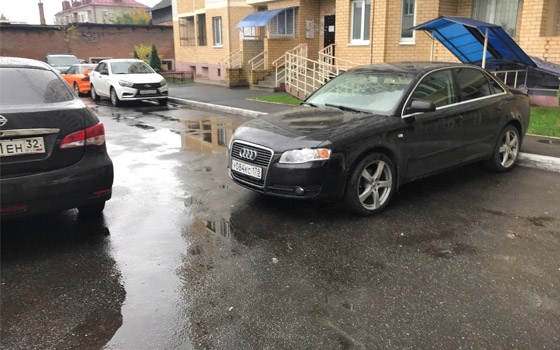 В Брянске закидали яйцами Audi «оленя парковки» В Брянске закидали яйцами Audi «оленя парковки»