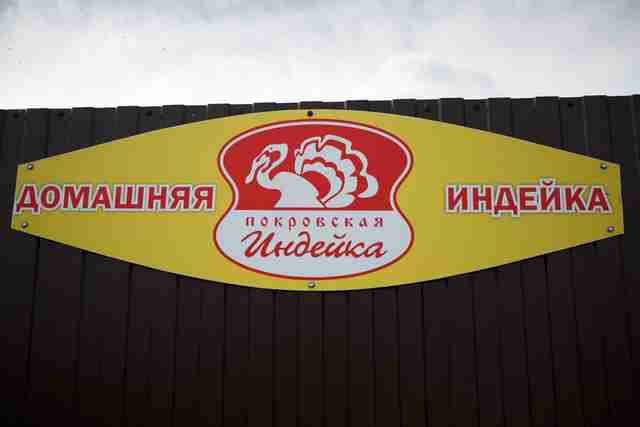 Агрошкола. Как корреспондент «Фонаря» кормила индюшек* Агрошкола. Как корреспондент «Фонаря» кормила индюшек*